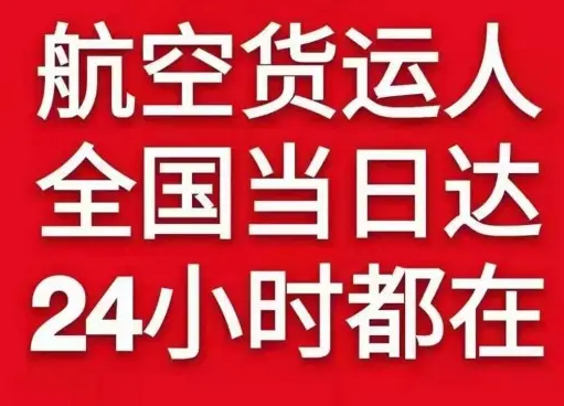 普陀山空运代理货物、航空货运:物流行业各岗位招聘